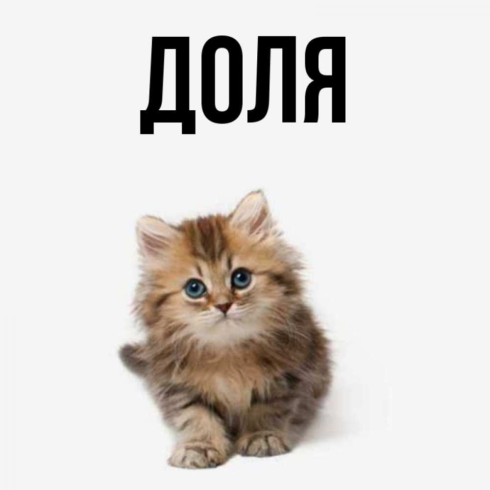 Картинка  с именем , Доля