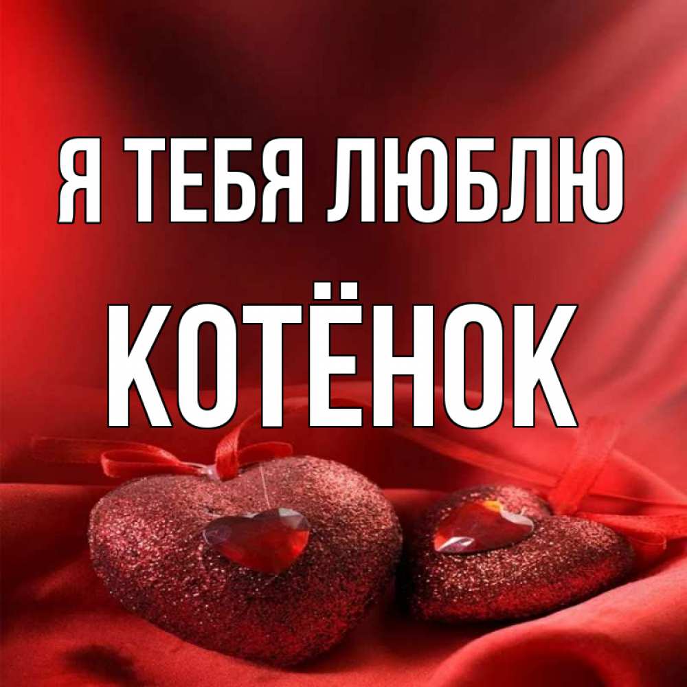 Я люблю тебя котенок мой. Люблю тебя котик. Мои котята. Люблю тебя котенок. Смешные пожелания на каждый день.