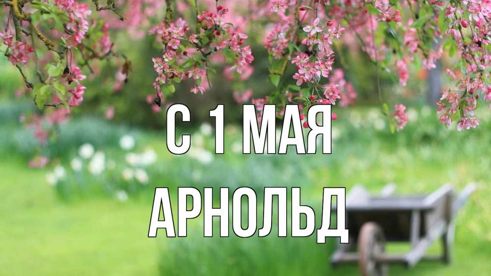 Открытка на каждый день с именем, Арнольд С 1 мая С 1 мая Прикольная открытка с пожеланием онлайн скачать бесплатно 