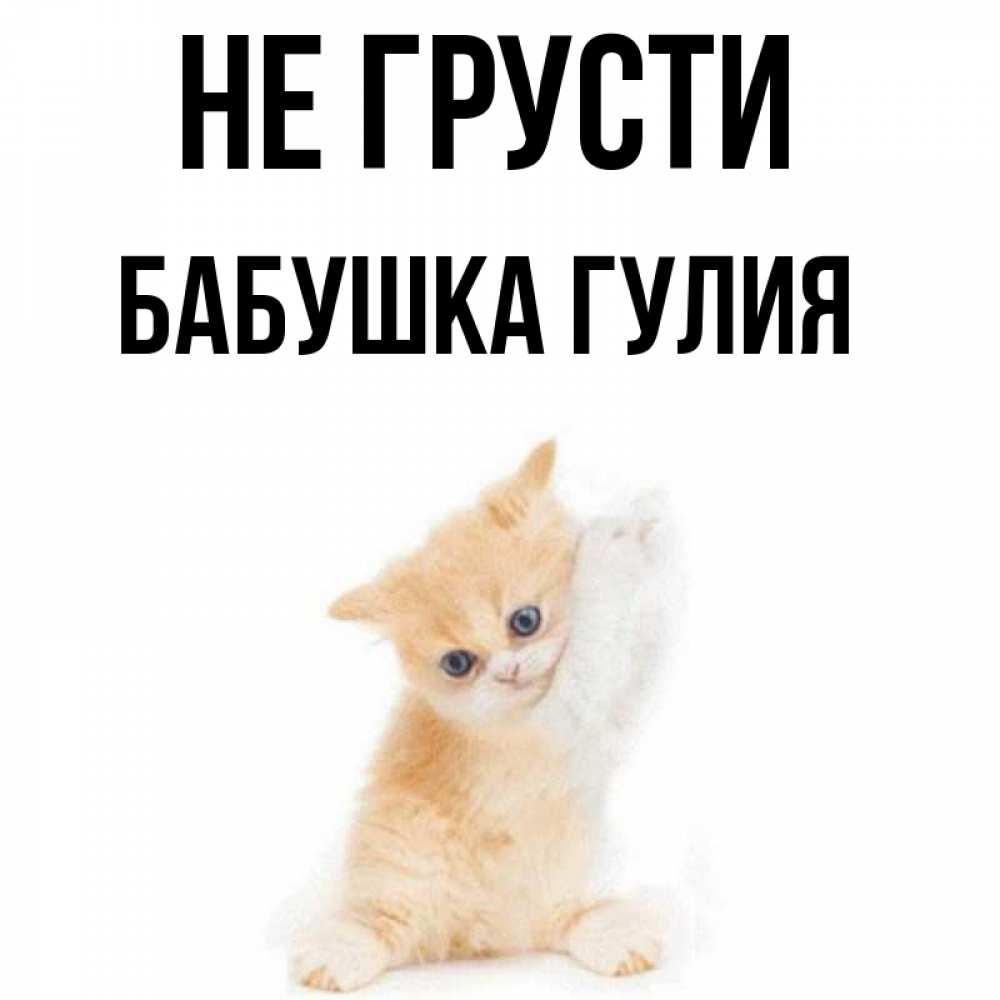 Открытка на каждый день с именем, Бабушка-Гулия Не грусти просящий кот Прикольная открытка с пожеланием онлайн скачать бесплатно 