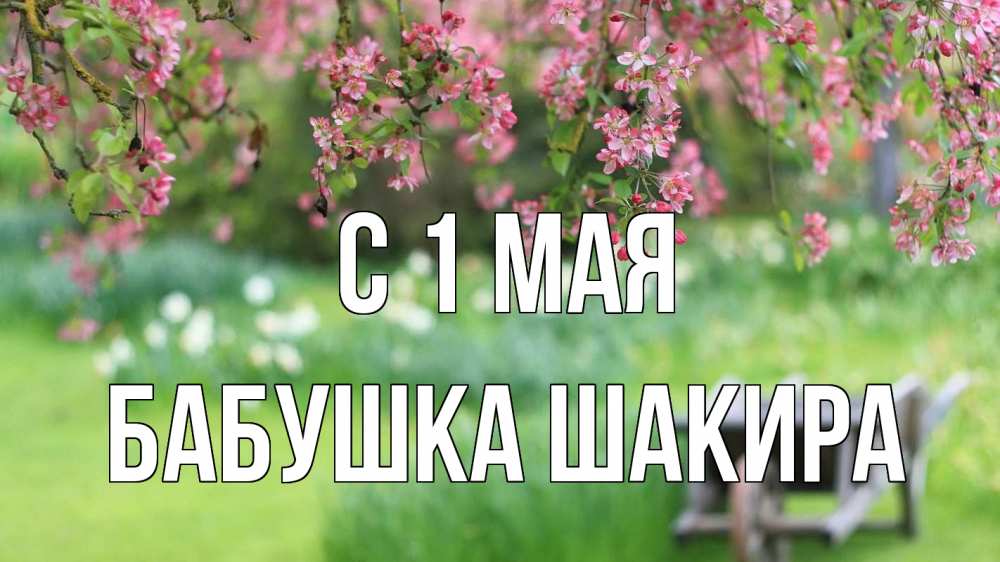 Открытка на каждый день с именем, Бабушка-Шакира С 1 мая С 1 мая Прикольная открытка с пожеланием онлайн скачать бесплатно 