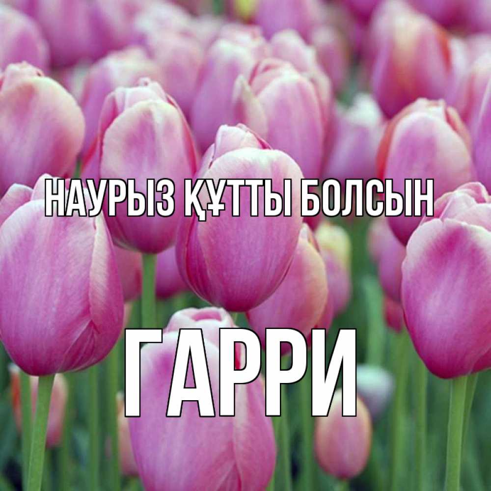 Открытка на каждый день с именем, Гарри Наурыз құтты болсын на наурыз  день 3 Прикольная открытка с пожеланием онлайн скачать бесплатно 