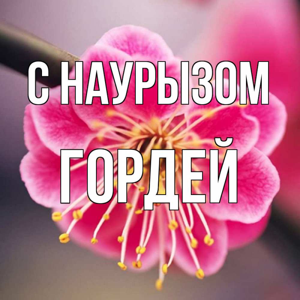 Открытка на каждый день с именем, Гордей С наурызом цветы Прикольная открытка с пожеланием онлайн скачать бесплатно 