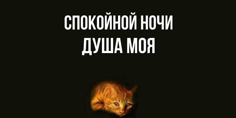Открытка на каждый день с именем, Душа-моя Спокойной ночи кот Прикольная открытка с пожеланием онлайн скачать бесплатно 