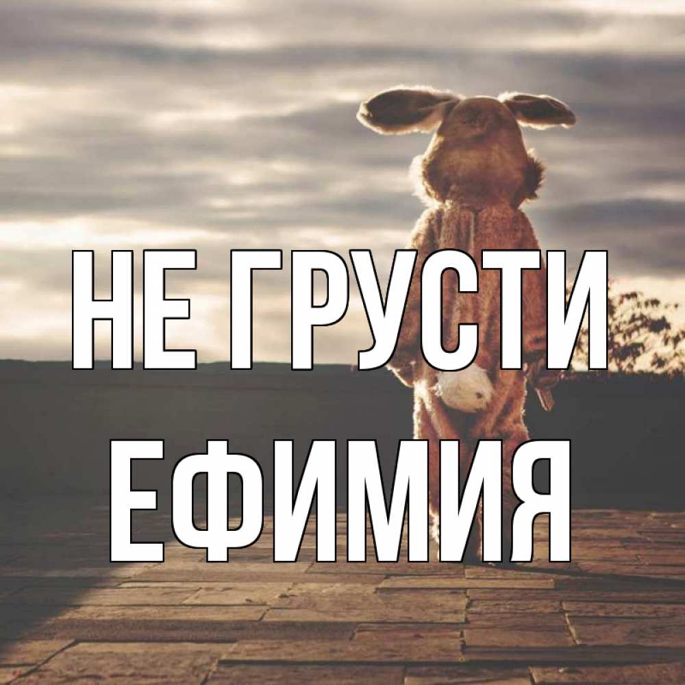 Открытка на каждый день с именем, Ефимия Не грусти со спины Прикольная открытка с пожеланием онлайн скачать бесплатно 