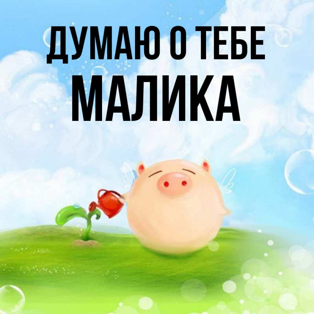 Открытка на каждый день с именем, Малика Думаю о тебе позитивная свинюшка Прикольная открытка с пожеланием онлайн скачать бесплатно 