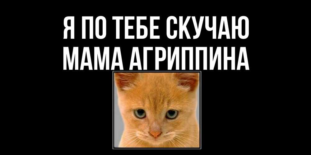 Открытка на каждый день с именем, Мама-Агриппина Я по тебе скучаю открытки рыжий котенок скучает по тебе Прикольная открытка с пожеланием онлайн скачать бесплатно 