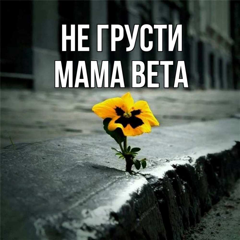 Открытка на каждый день с именем, Мама-Вета Не грусти не сдавайся Прикольная открытка с пожеланием онлайн скачать бесплатно 