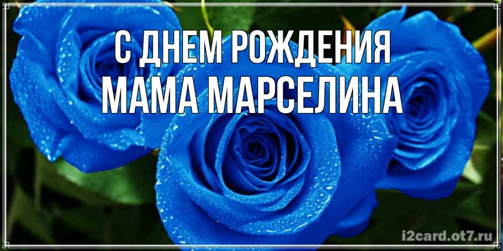 Открытка на каждый день с именем, Мама-Марселина С днем рождения розы с синим цветом Прикольная открытка с пожеланием онлайн скачать бесплатно 
