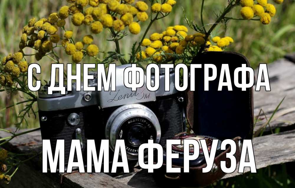 Открытка на каждый день с именем, Мама-Феруза С днем фотографа с днем фотографа Прикольная открытка с пожеланием онлайн скачать бесплатно 
