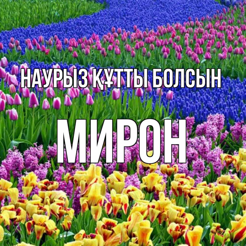 Открытка на каждый день с именем, Мирон Наурыз құтты болсын цветы Прикольная открытка с пожеланием онлайн скачать бесплатно 