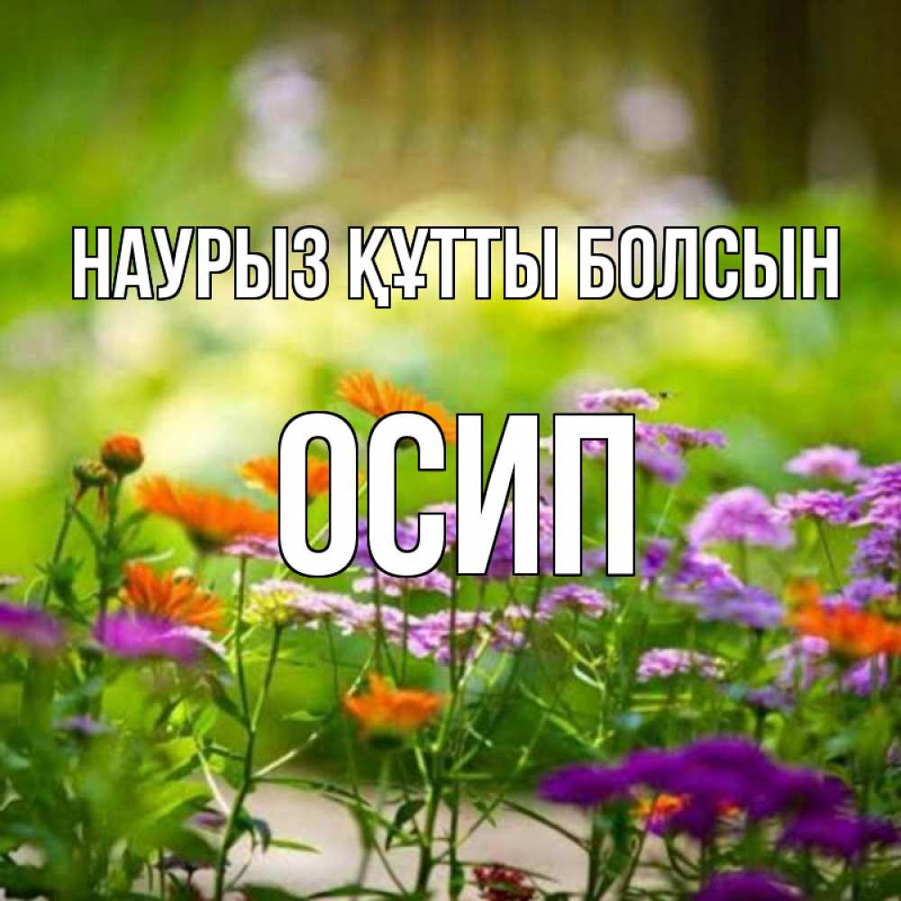 Открытка на каждый день с именем, Осип Наурыз құтты болсын цветы Прикольная открытка с пожеланием онлайн скачать бесплатно 
