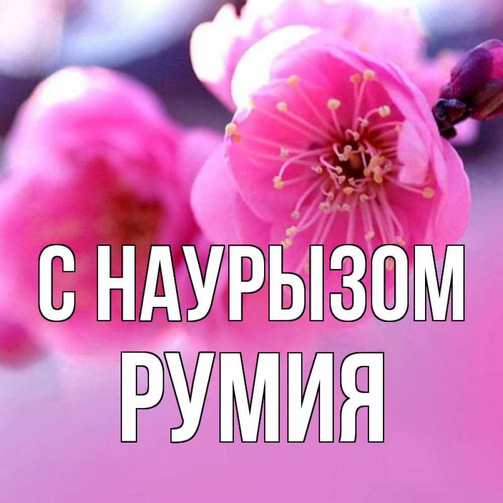 Открытка на каждый день с именем, Румия С наурызом международный женский день Прикольная открытка с пожеланием онлайн скачать бесплатно 