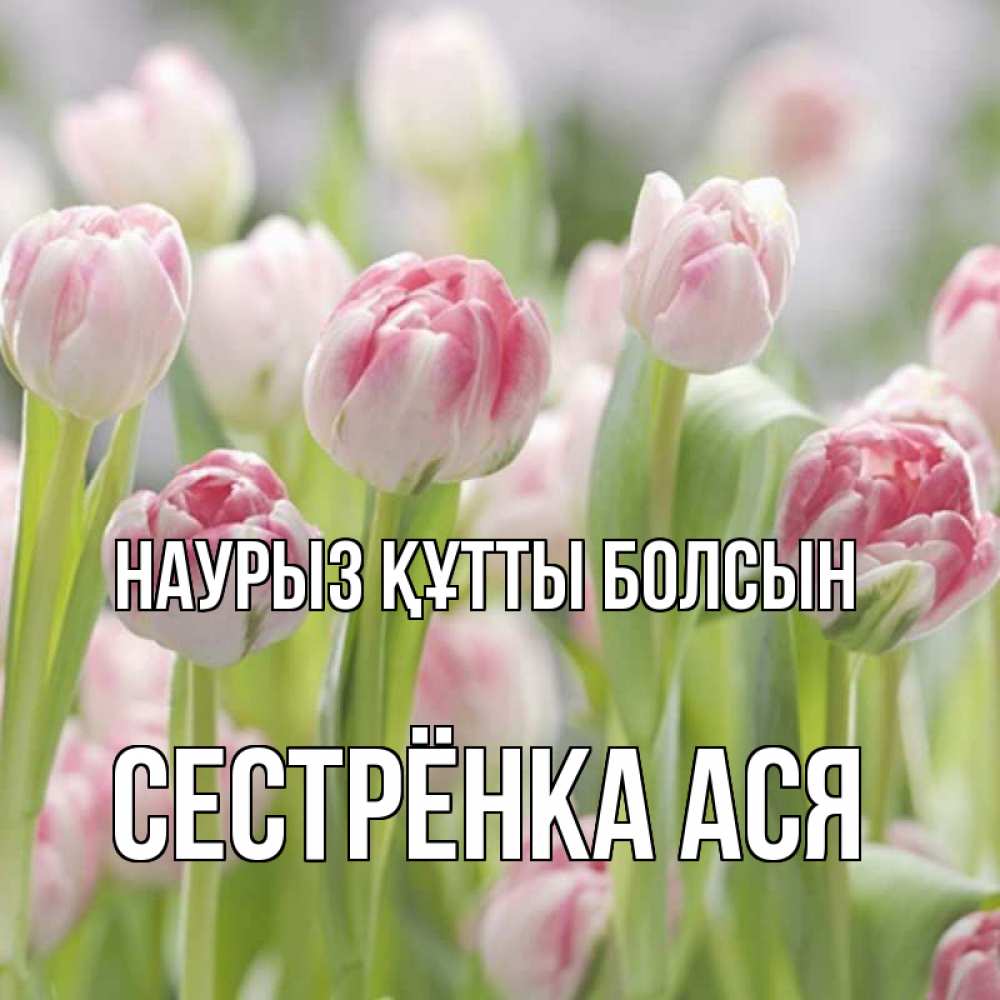 Открытка на каждый день с именем, Сестрёнка-Ася Наурыз құтты болсын цветы Прикольная открытка с пожеланием онлайн скачать бесплатно 