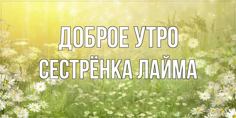 Открытка на каждый день с именем, Сестрёнка-Лайма Доброе утро доброе утро Прикольная открытка с пожеланием онлайн скачать бесплатно 
