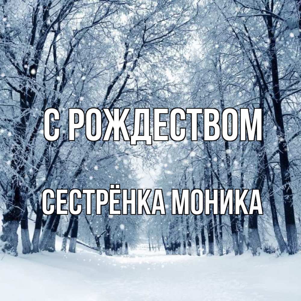 Открытка на каждый день с именем, Сестрёнка-Моника С рождеством снег, лес, парк Прикольная открытка с пожеланием онлайн скачать бесплатно 