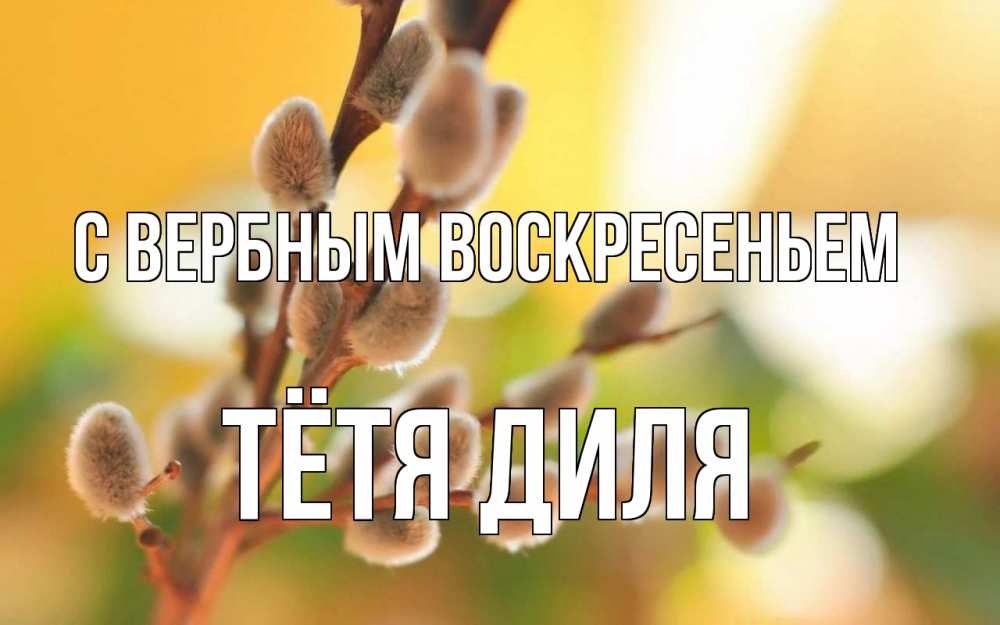 Открытка на каждый день с именем, Тётя-Диля С вербным воскресеньем верба Прикольная открытка с пожеланием онлайн скачать бесплатно 