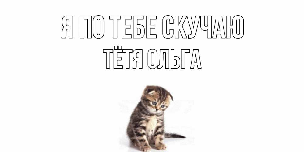Открытка на каждый день с именем, Тётя-Ольга Я по тебе скучаю кот Прикольная открытка с пожеланием онлайн скачать бесплатно 