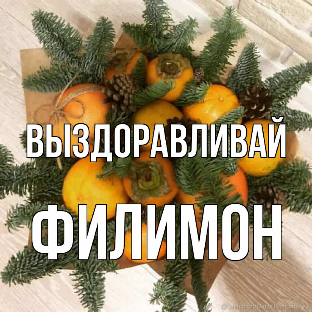 Открытка на каждый день с именем, Филимон Выздоравливай апельсины и хурьма Прикольная открытка с пожеланием онлайн скачать бесплатно 