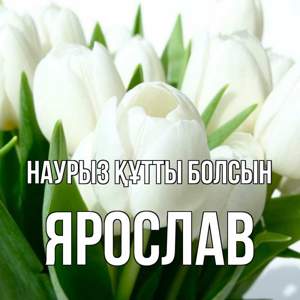 Открытка на каждый день с именем, Ярослав Наурыз құтты болсын цветы Прикольная открытка с пожеланием онлайн скачать бесплатно 