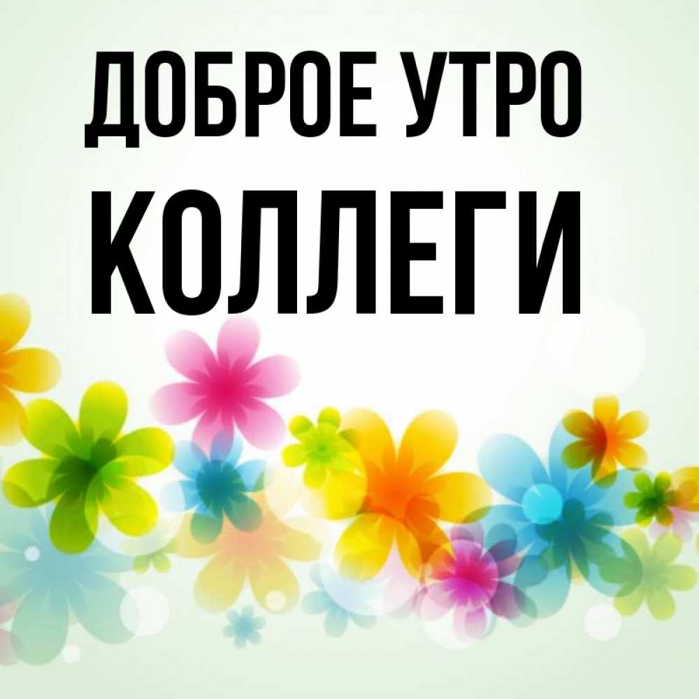 Доброе коллеги