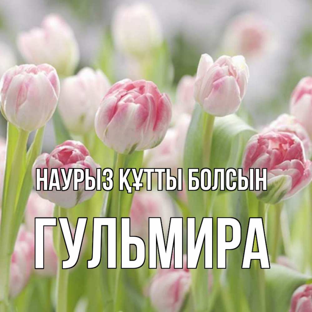 Открытка на каждый день с именем, Гульмира Наурыз құтты болсын цветы Прикольная открытка с пожеланием онлайн скачать бесплатно 