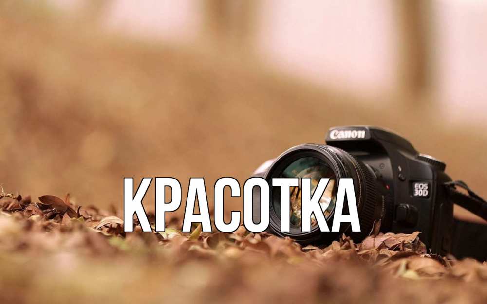 Открытка на каждый день с именем, красотка Главная с днем фотографа Прикольная открытка с пожеланием онлайн скачать бесплатно 