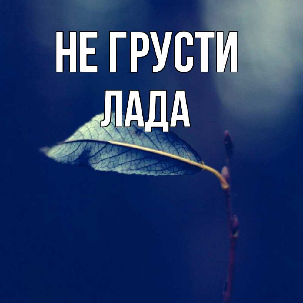 Открытка на каждый день с именем, Лада Не грусти растение Прикольная открытка с пожеланием онлайн скачать бесплатно 