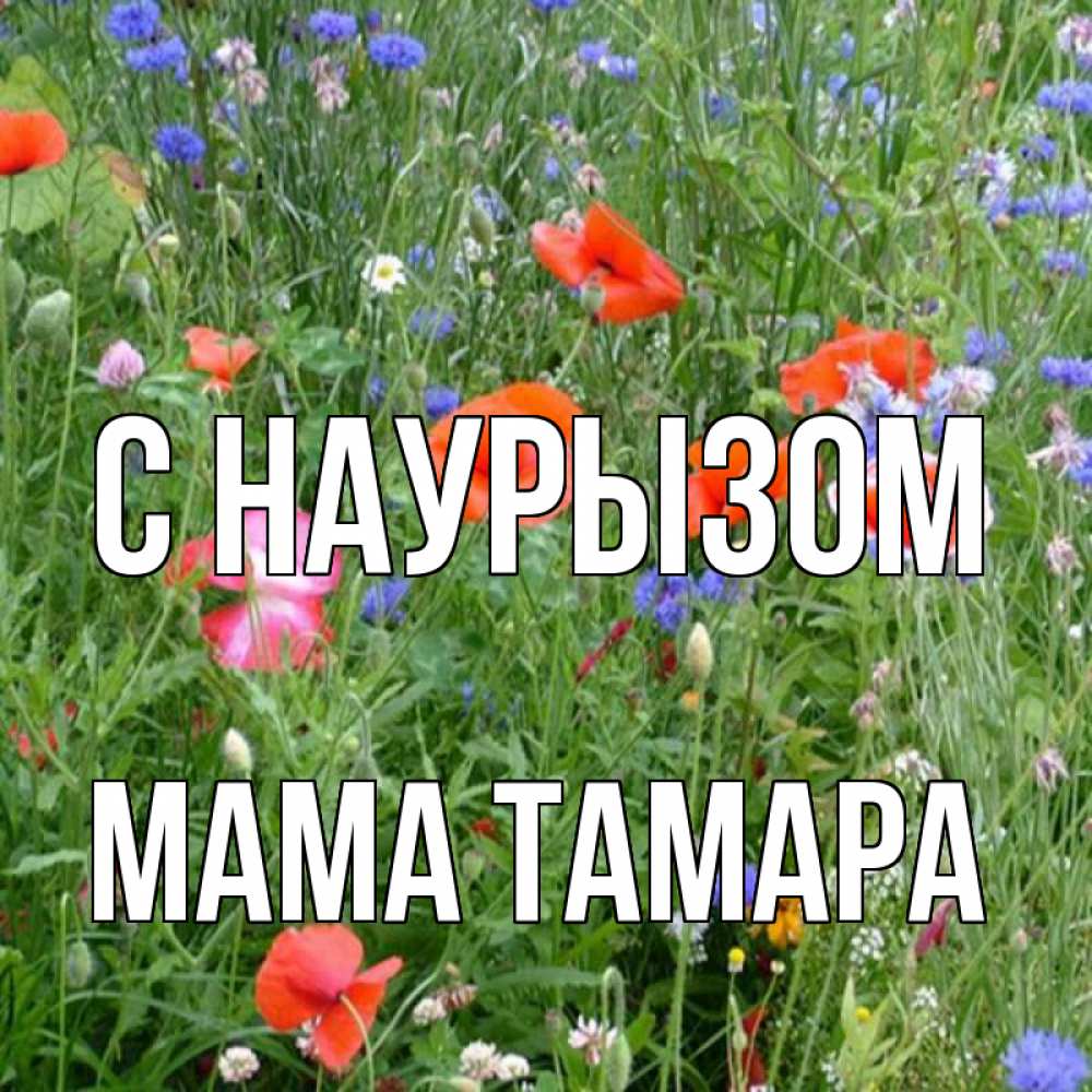 Открытка на каждый день с именем, Мама-Тамара С наурызом праздник весны наурыз супер открытка Прикольная открытка с пожеланием онлайн скачать бесплатно 