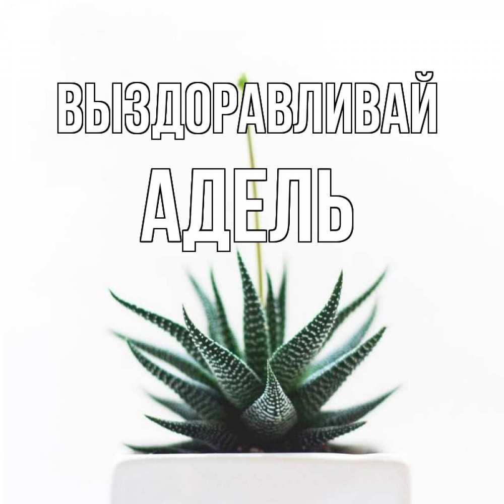 Открытка на каждый день с именем, Адель Выздоравливай короче это непонятная колючка Прикольная открытка с пожеланием онлайн скачать бесплатно 