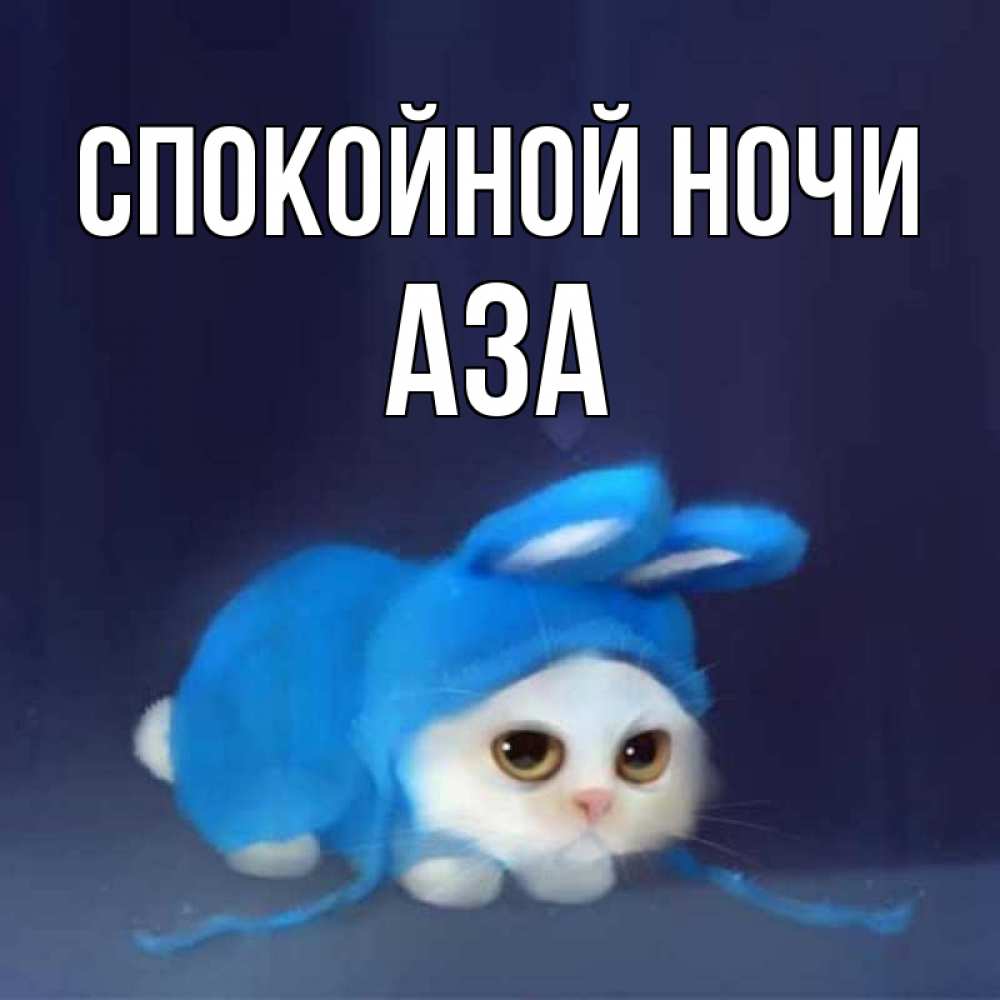 Открытка на каждый день с именем, Аза Спокойной ночи кот в голубом костюме кролика с ушками Прикольная открытка с пожеланием онлайн скачать бесплатно 