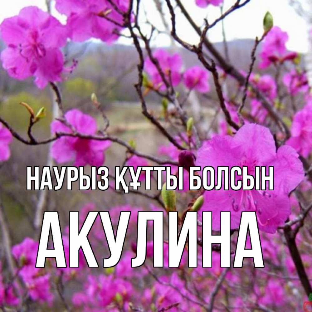 Открытка на каждый день с именем, Акулина Наурыз құтты болсын наурыз мейрамы кутты болсын Прикольная открытка с пожеланием онлайн скачать бесплатно 