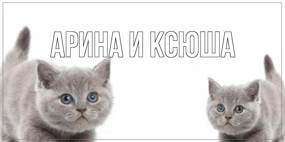 Открытка на каждый день с именем, Арина-и-Ксюша Главная коты Прикольная открытка с пожеланием онлайн скачать бесплатно 