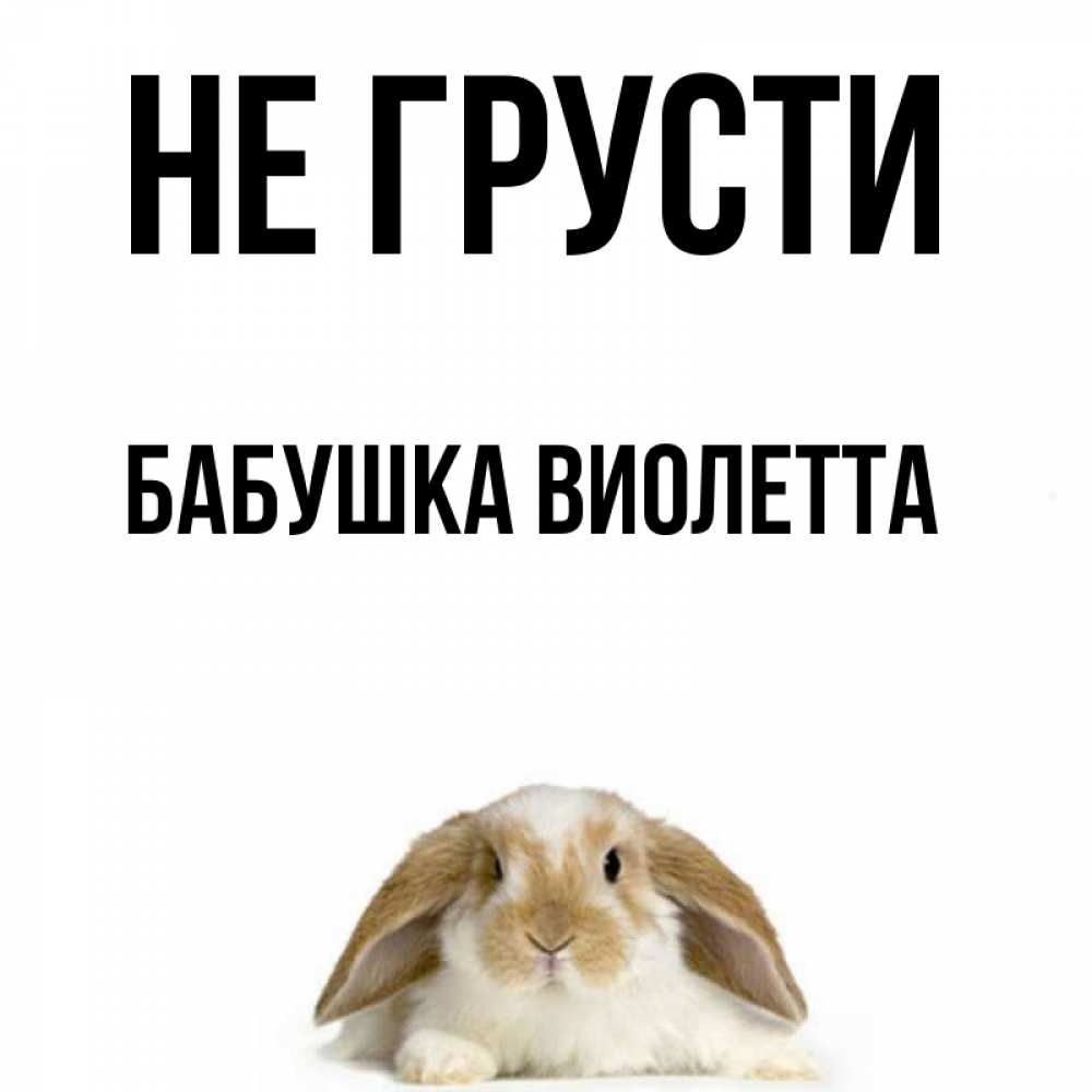 Открытка на каждый день с именем, Бабушка-Виолетта Не грусти коричнево белый заяц с большими ушками Прикольная открытка с пожеланием онлайн скачать бесплатно 