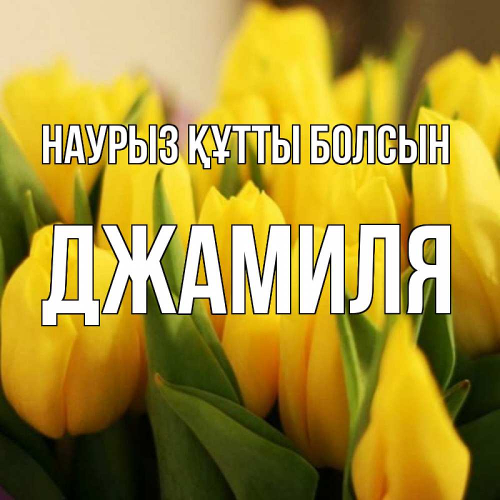 Открытка на каждый день с именем, Джамиля Наурыз құтты болсын цветы Прикольная открытка с пожеланием онлайн скачать бесплатно 