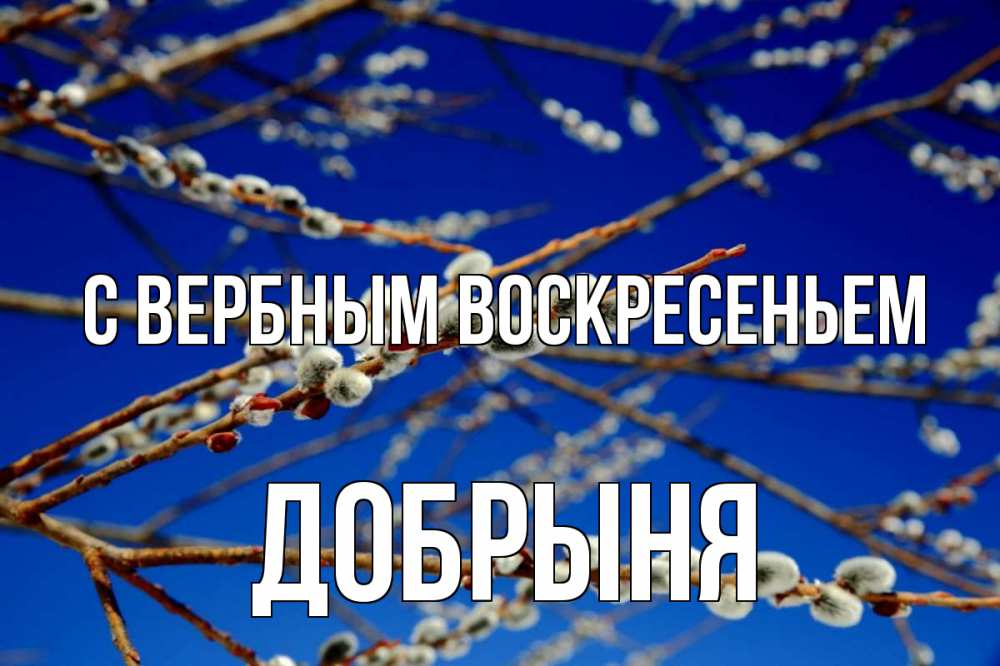 Открытка на каждый день с именем, Добрыня С вербным воскресеньем верба Прикольная открытка с пожеланием онлайн скачать бесплатно 