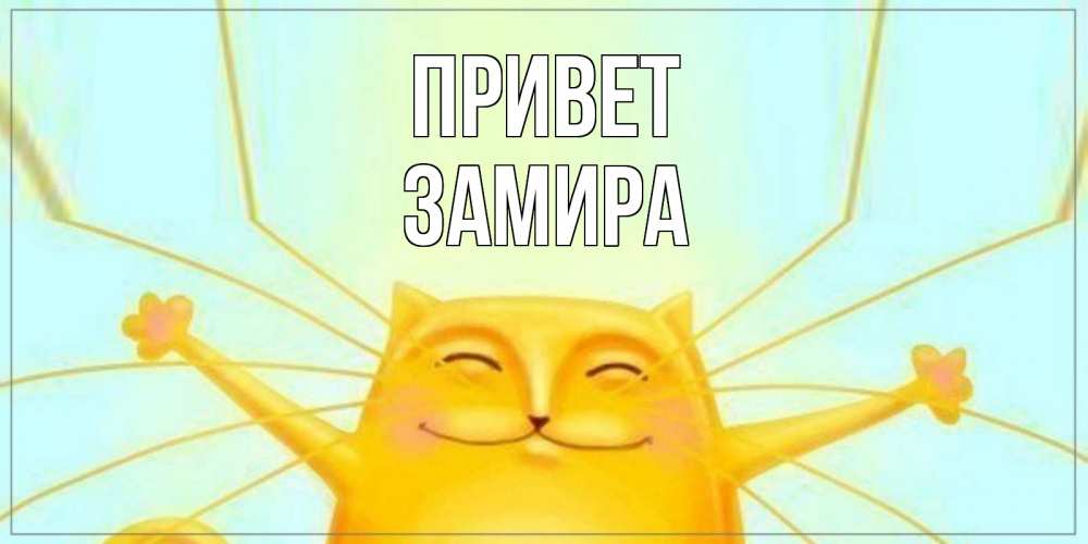 Открытка на каждый день с именем, Замира Привет кот Прикольная открытка с пожеланием онлайн скачать бесплатно 