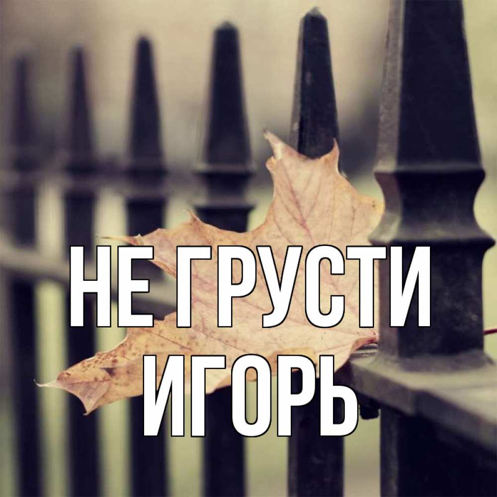 Открытка на каждый день с именем, Игорь Не грусти лист клена Прикольная открытка с пожеланием онлайн скачать бесплатно 