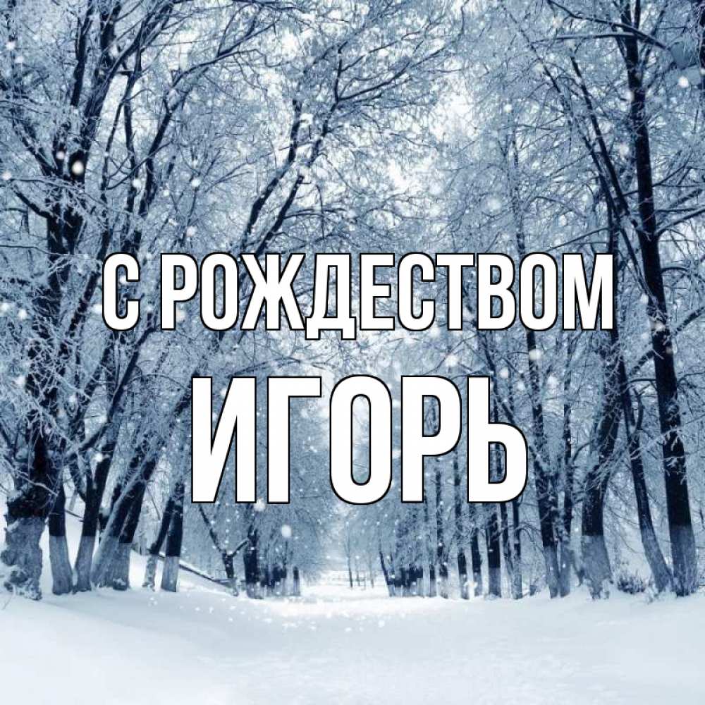 Открытка на каждый день с именем, Игорь С рождеством снег, лес, парк Прикольная открытка с пожеланием онлайн скачать бесплатно 