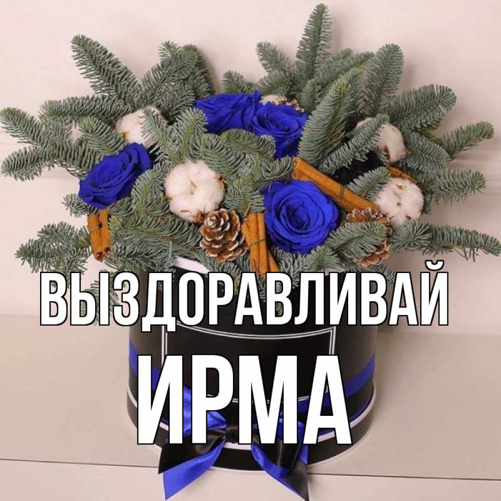 Открытка на каждый день с именем, Ирма Выздоравливай короче кто то загрузил эти шишки Прикольная открытка с пожеланием онлайн скачать бесплатно 