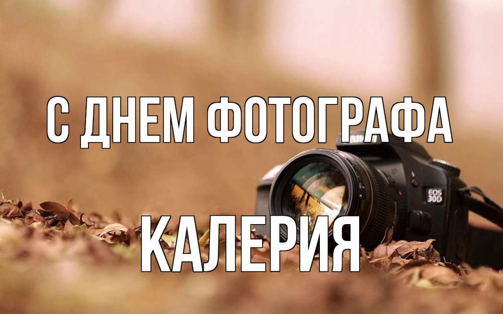 Открытка на каждый день с именем, Калерия С днем фотографа с днем фотографа Прикольная открытка с пожеланием онлайн скачать бесплатно 