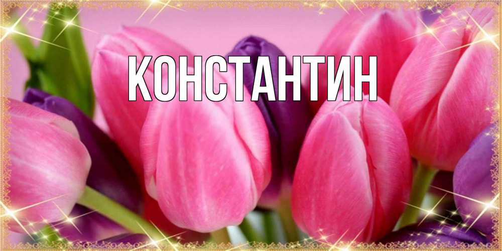 Открытка на каждый день с именем, Константин Главная тюльпаны для женщины на международный женский день Прикольная открытка с пожеланием онлайн скачать бесплатно 