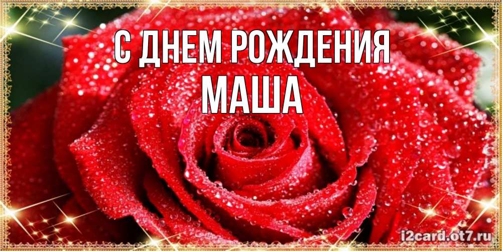 Открытка на каждый день с именем, МАША С днем рождения роса и роза. открытка с красивой розой Прикольная открытка с пожеланием онлайн скачать бесплатно 