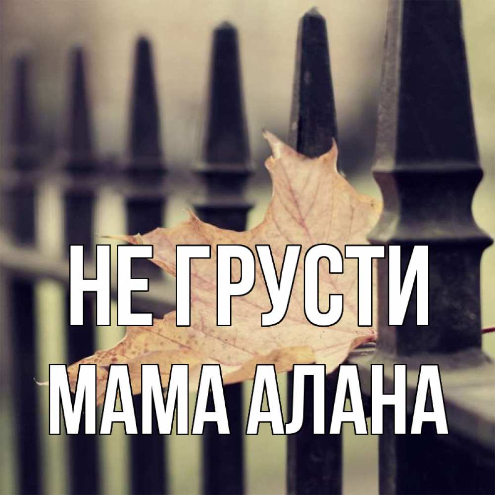 Открытка на каждый день с именем, Мама-Алана Не грусти лист клена Прикольная открытка с пожеланием онлайн скачать бесплатно 