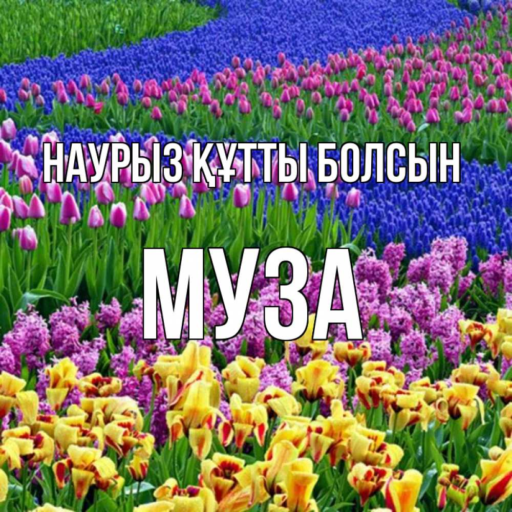 Открытка на каждый день с именем, Муза Наурыз құтты болсын цветы Прикольная открытка с пожеланием онлайн скачать бесплатно 
