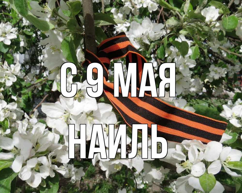 Открытка на каждый день с именем, Наиль С 9 мая 9 мая Прикольная открытка с пожеланием онлайн скачать бесплатно 