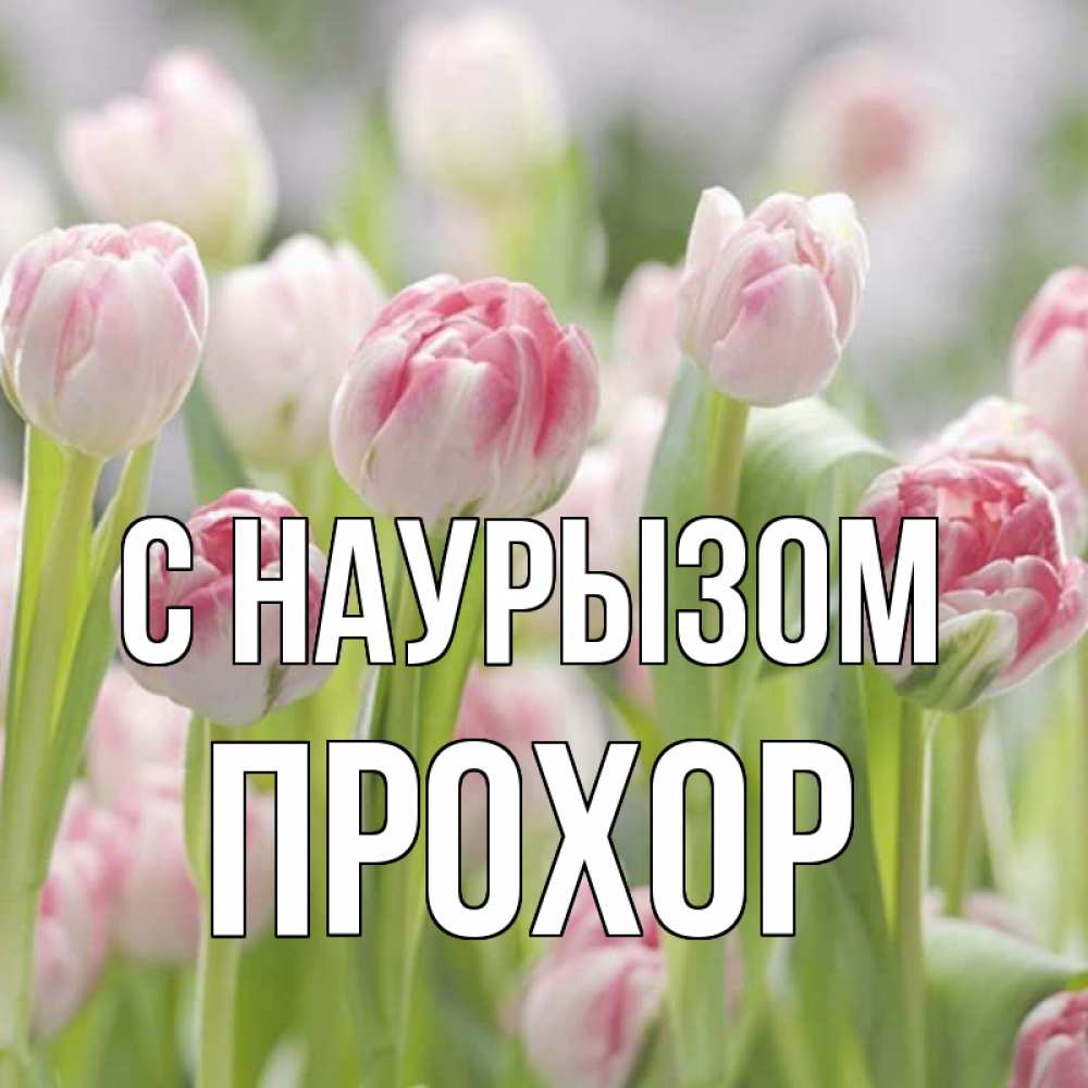 Открытка на каждый день с именем, Прохор С наурызом цветы Прикольная открытка с пожеланием онлайн скачать бесплатно 