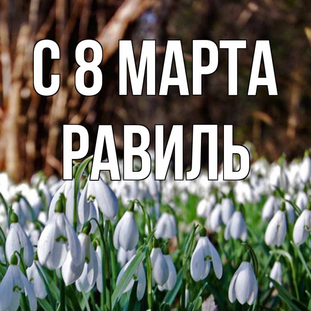 Открытка на каждый день с именем, Равиль С 8 МАРТА с подснежниками 1 Прикольная открытка с пожеланием онлайн скачать бесплатно 