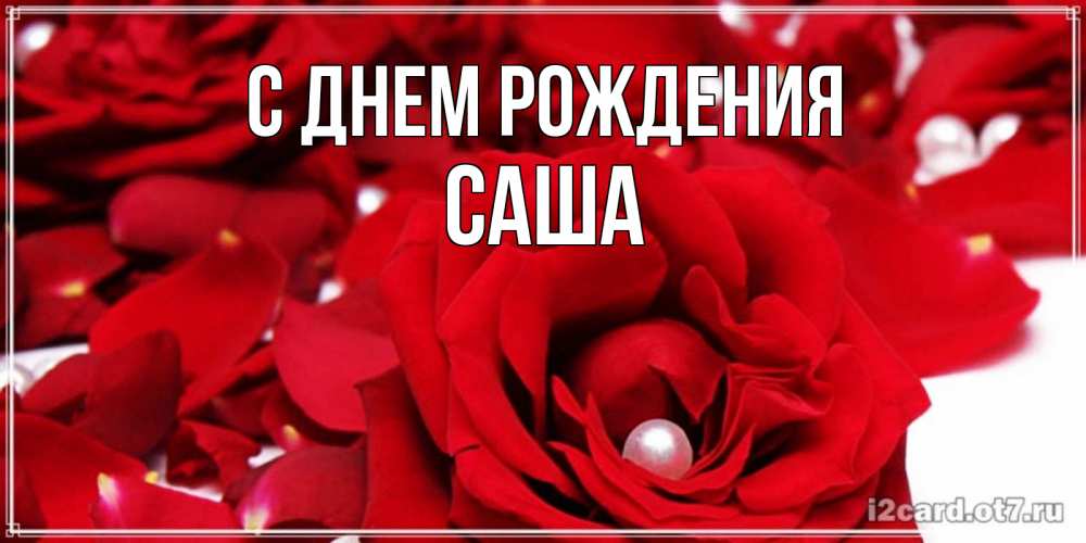Открытка на каждый день с именем, Саша С днем рождения роза с жемчужиной на открытке для любимых Прикольная открытка с пожеланием онлайн скачать бесплатно 