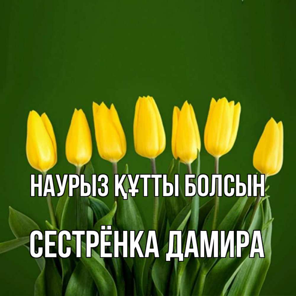 Открытка на каждый день с именем, Сестрёнка-Дамира Наурыз құтты болсын желтого цвета 3 Прикольная открытка с пожеланием онлайн скачать бесплатно 